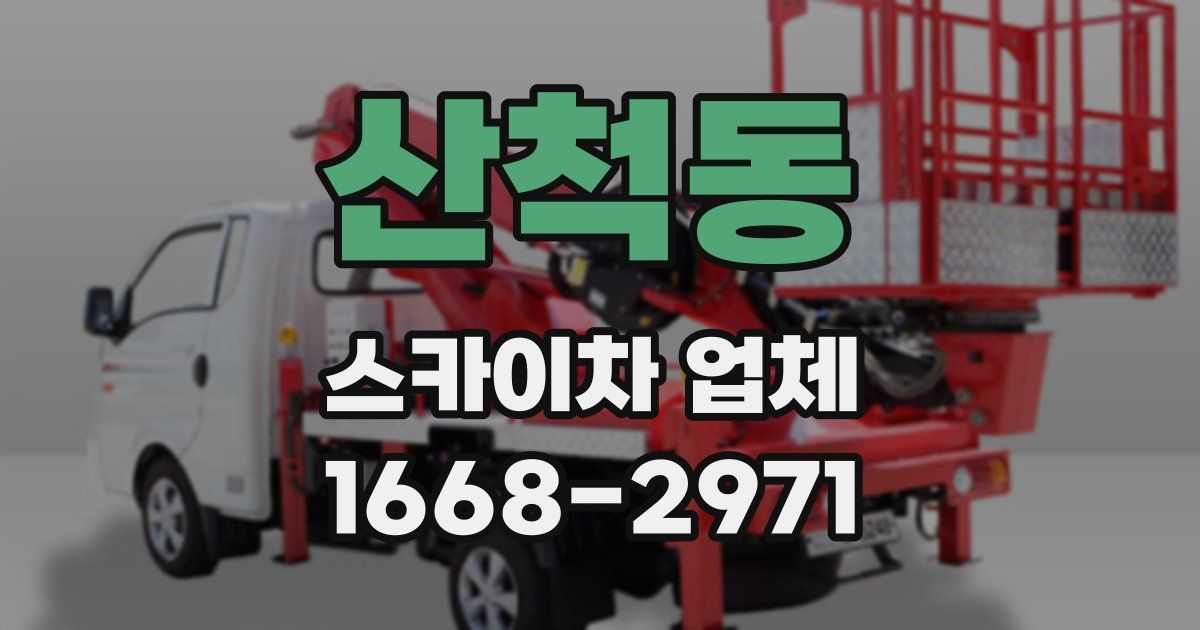 산척동 스카이차 업체