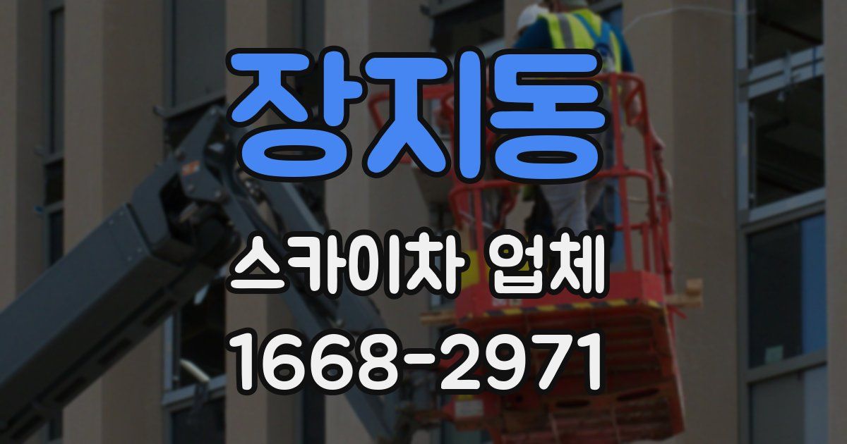 장지동 스카이차 업체