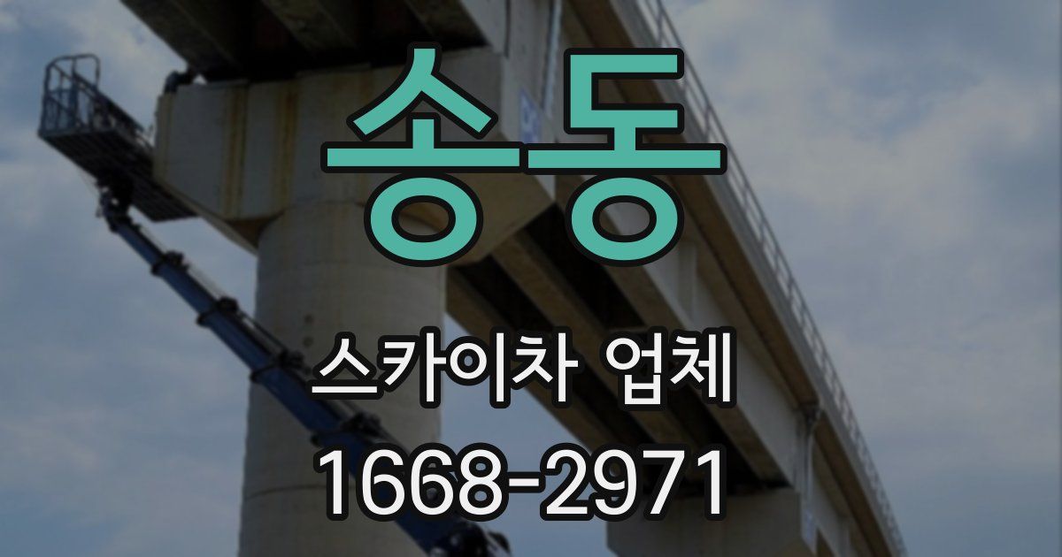 송동 스카이차 업체
