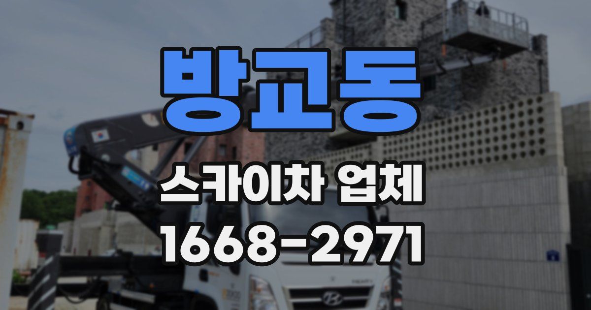 방교동 스카이차 업체