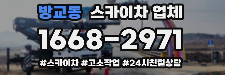 방교동 스카이차 업체