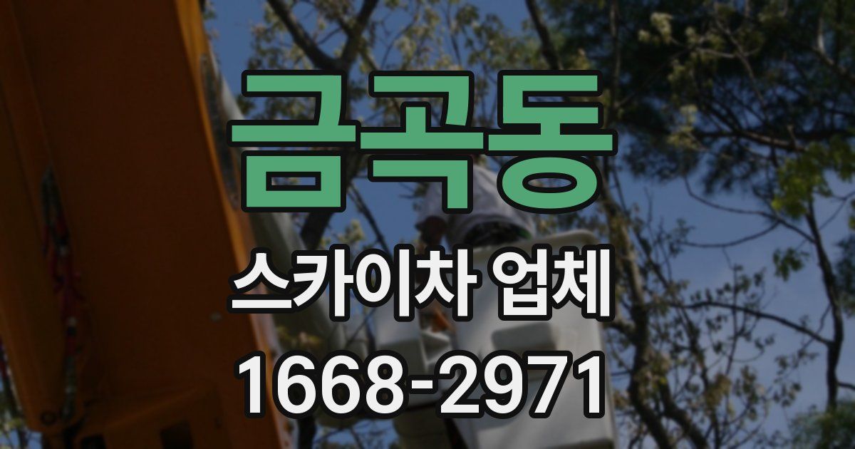 금곡동 스카이차 업체