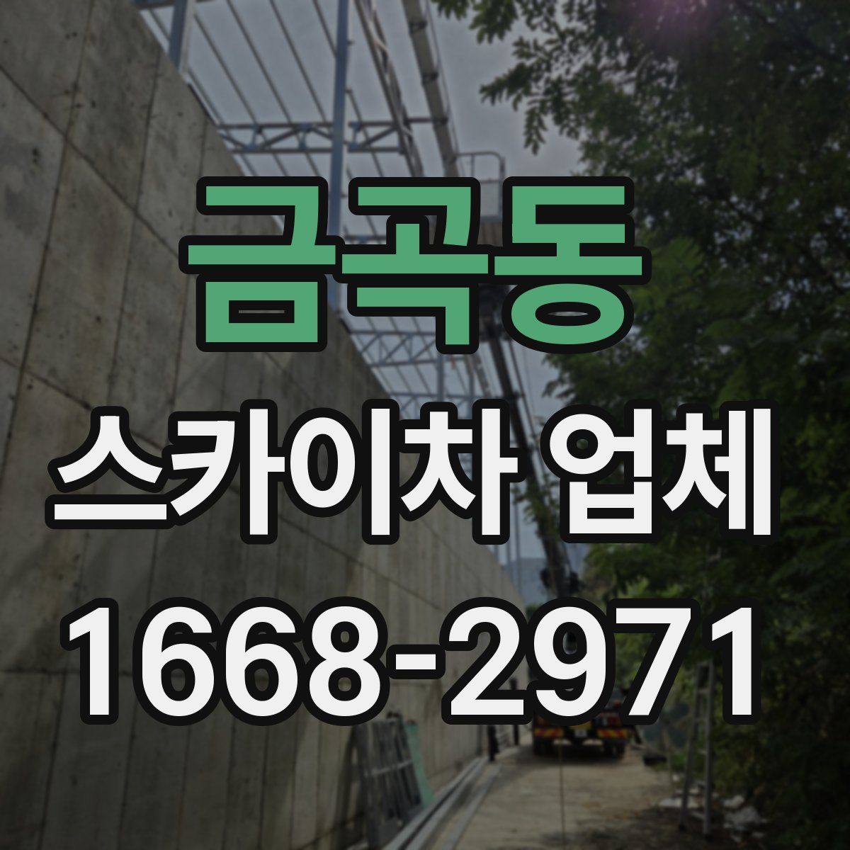 금곡동 스카이차 업체