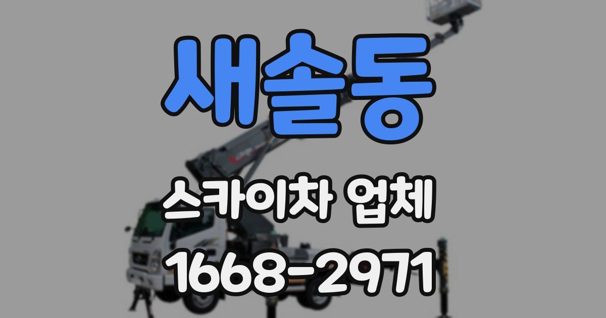 새솔동 스카이차 업체