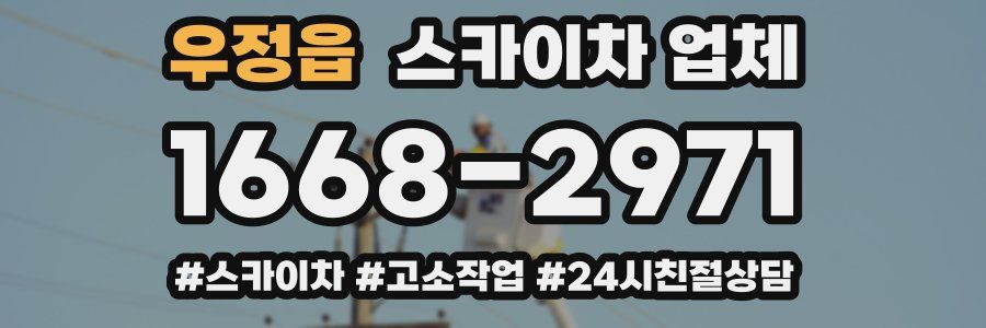 우정읍 스카이차 업체