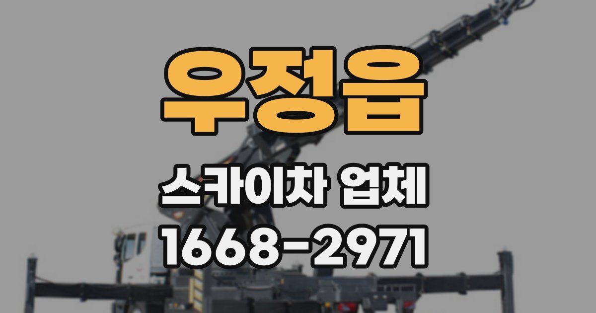 우정읍 스카이차 업체
