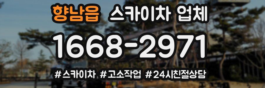 향남읍 스카이차 업체