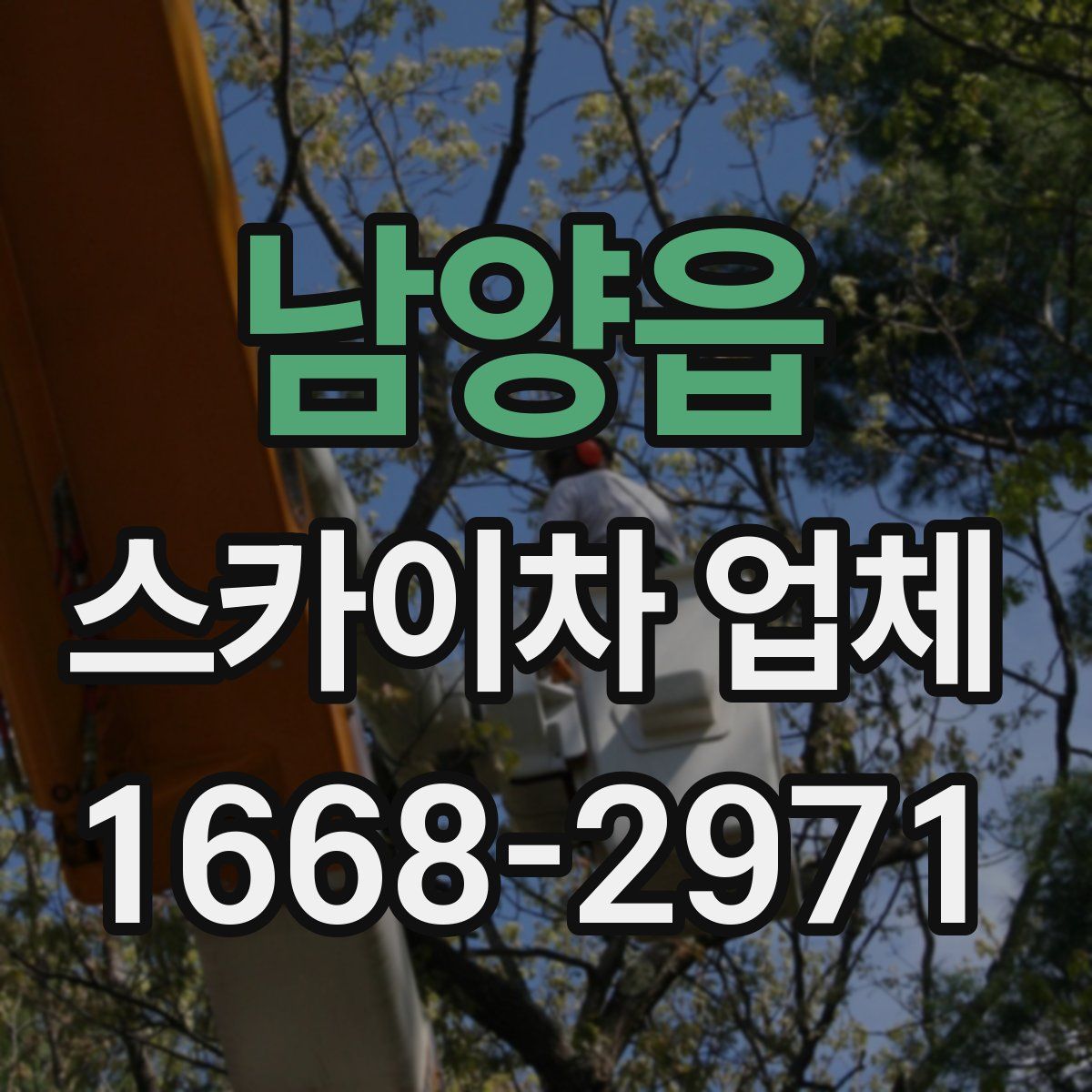 남양읍 스카이차 업체