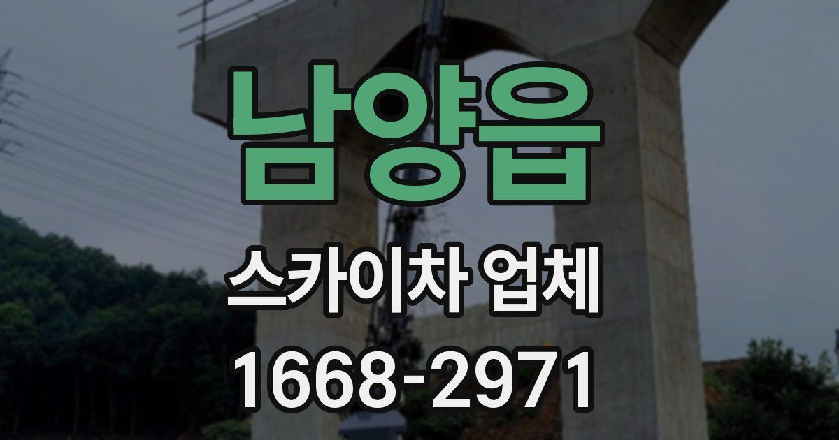 남양읍 스카이차 업체