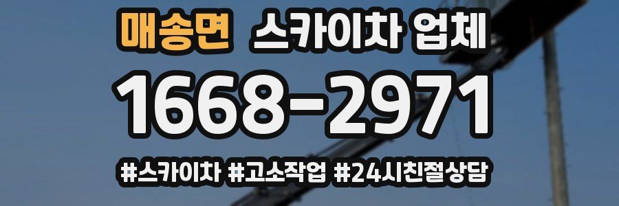 매송면 스카이차 업체