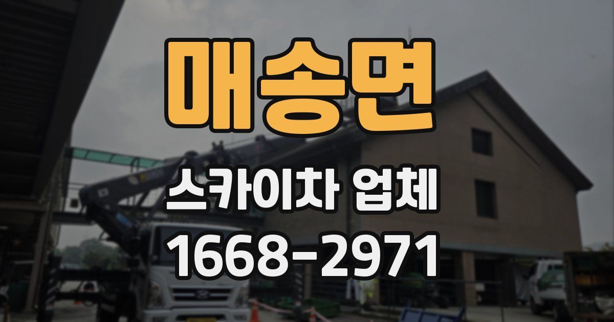 매송면 스카이차 업체