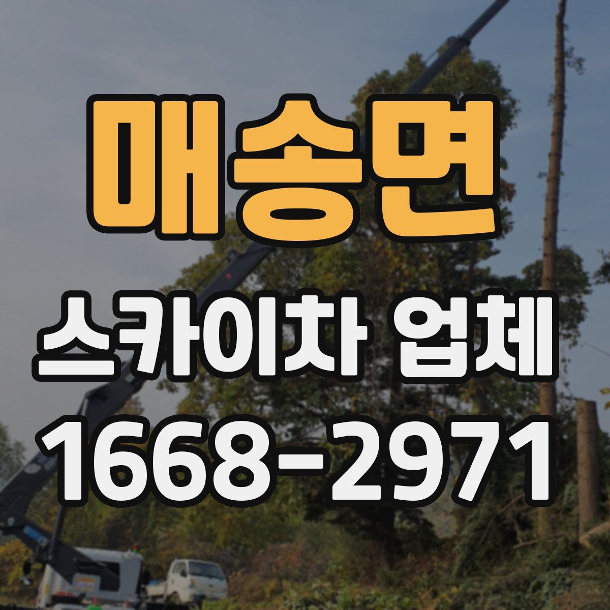 매송면 스카이차 업체