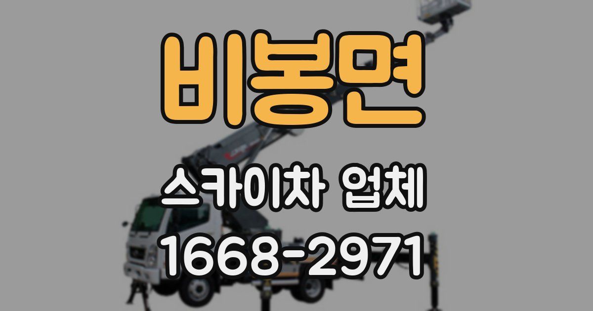 비봉면 스카이차 업체