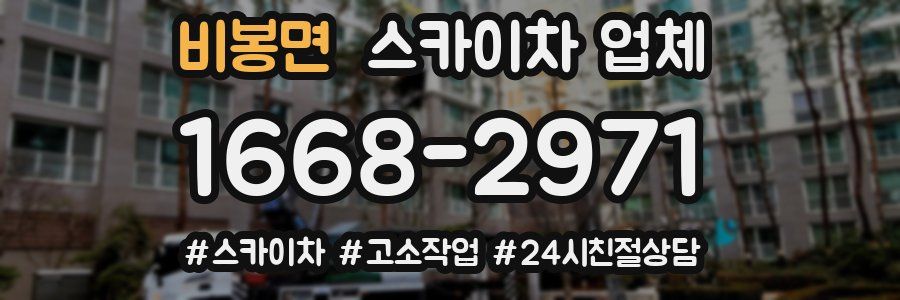 비봉면 스카이차 업체