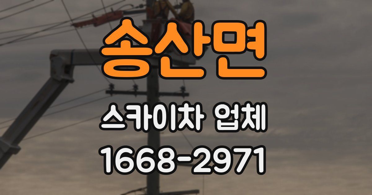 송산면 스카이차 업체