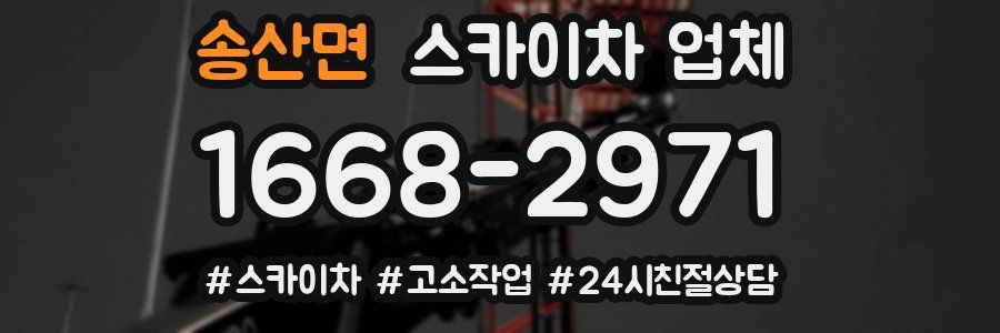 송산면 스카이차 업체