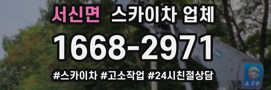 서신면 스카이차 업체