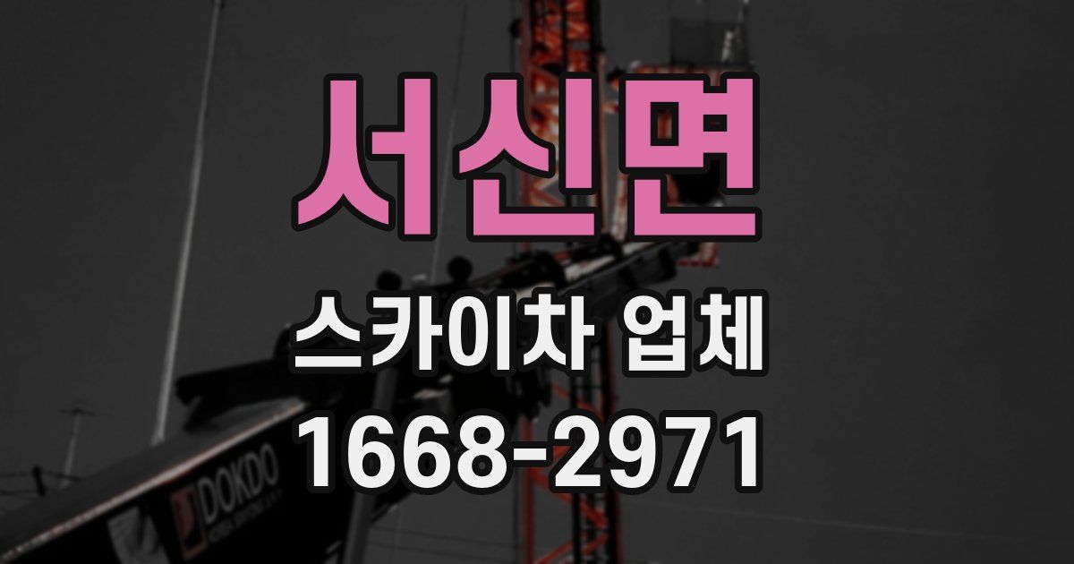 서신면 스카이차 업체