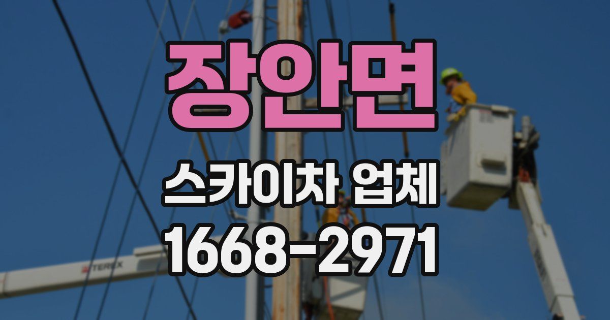 장안면 스카이차 업체