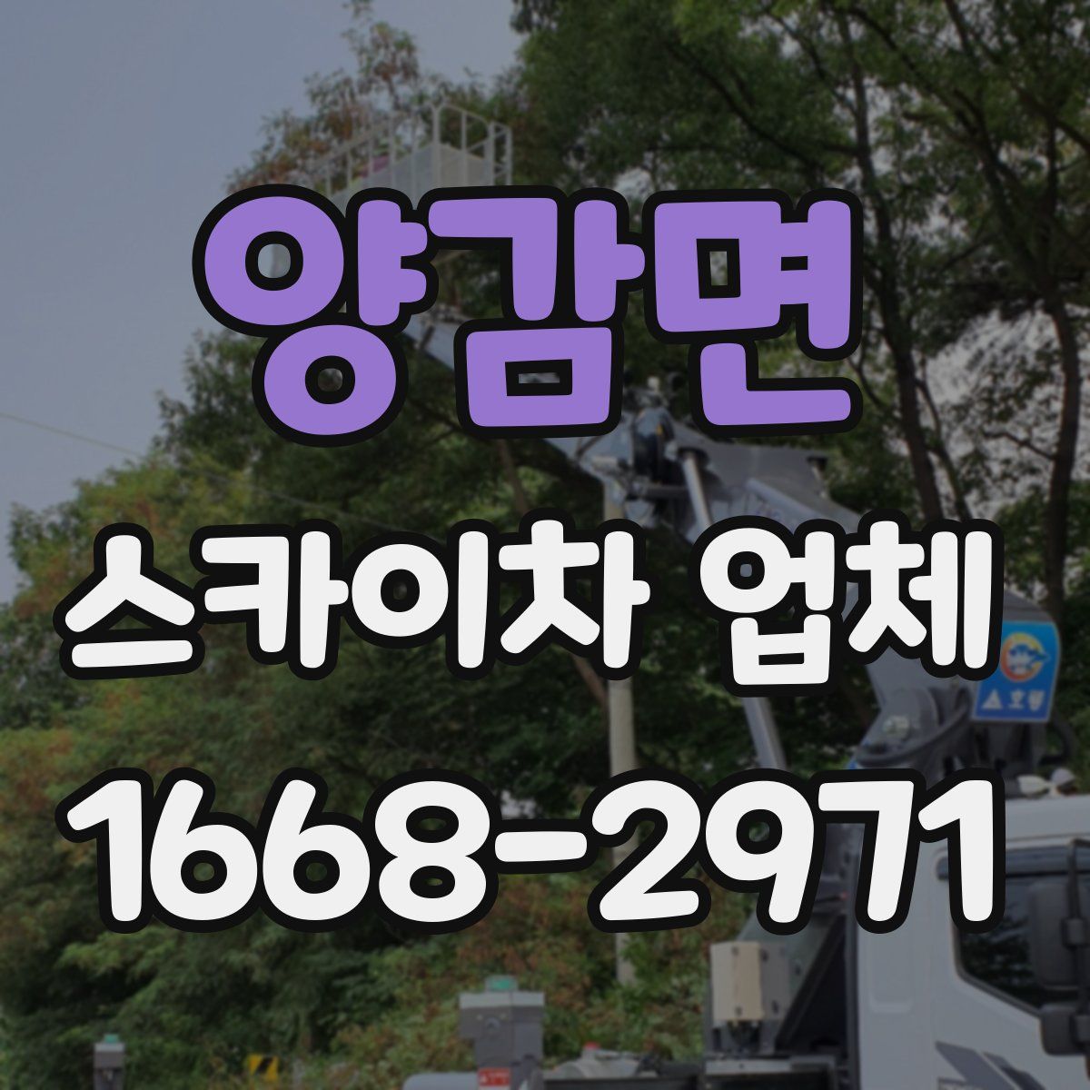 양감면 스카이차 업체