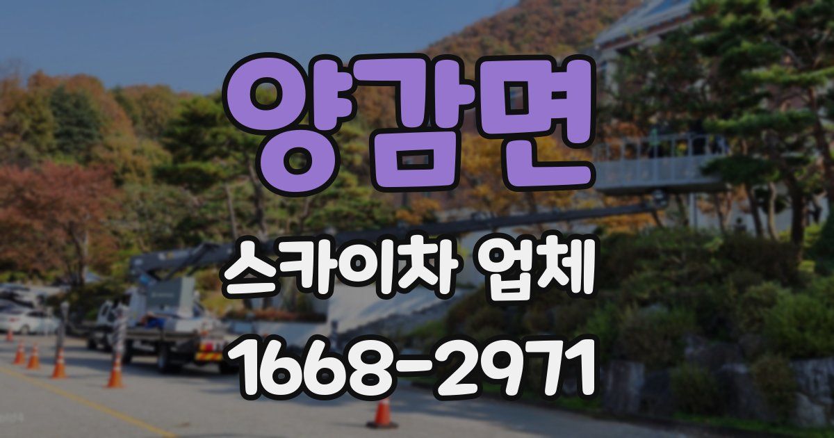 양감면 스카이차 업체