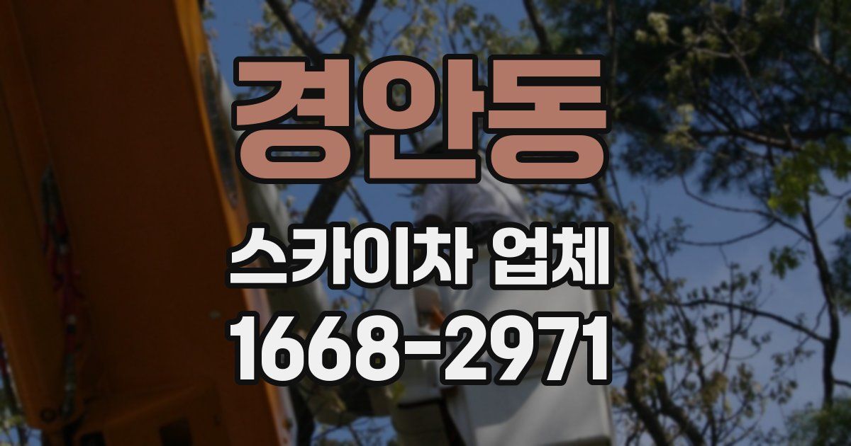 경안동 스카이차 업체
