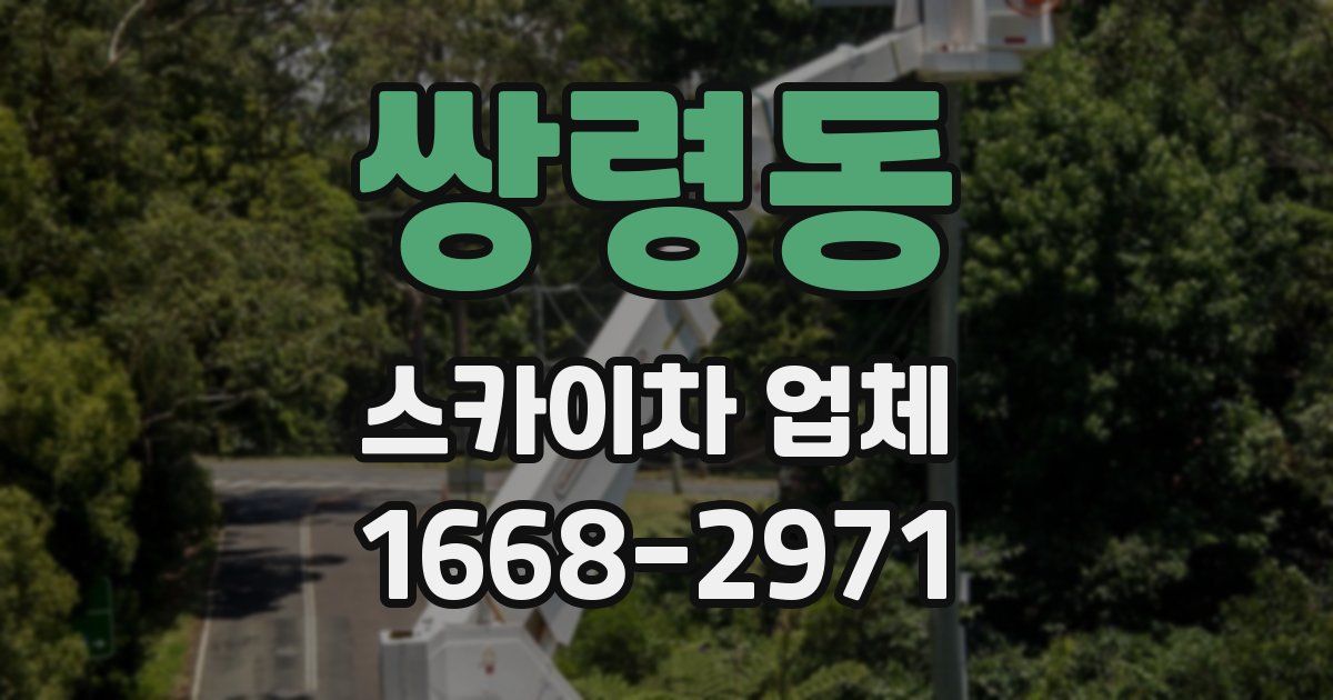 쌍령동 스카이차 업체