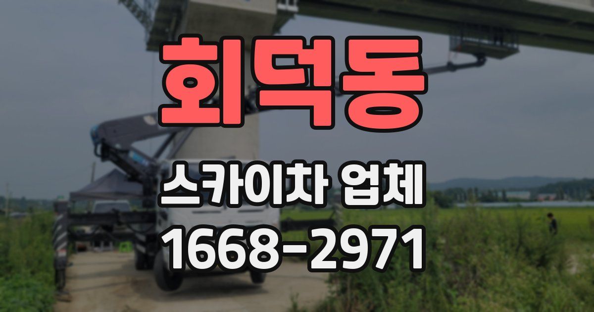회덕동 스카이차 업체