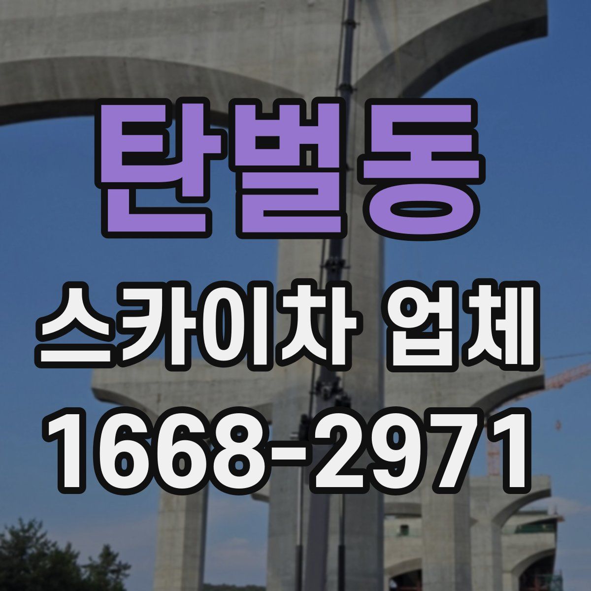 탄벌동 스카이차 업체