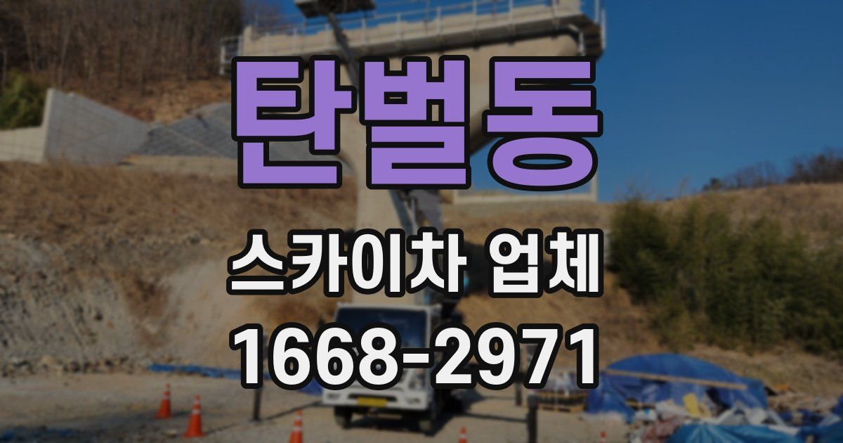 탄벌동 스카이차 업체