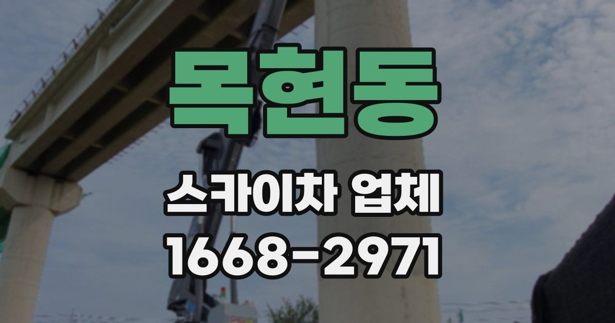 목현동 스카이차 업체