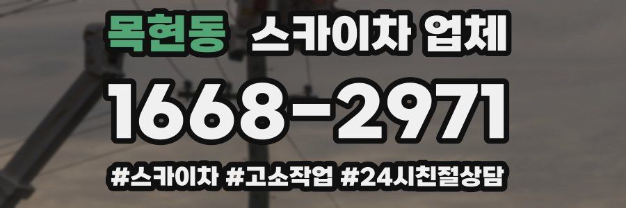 목현동 스카이차 업체