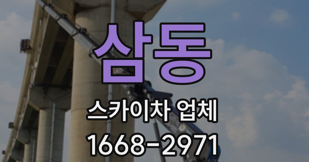 삼동 스카이차 업체