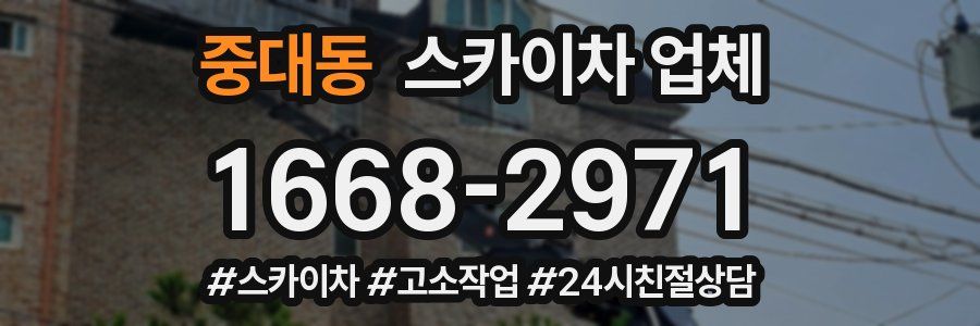 중대동 스카이차 업체