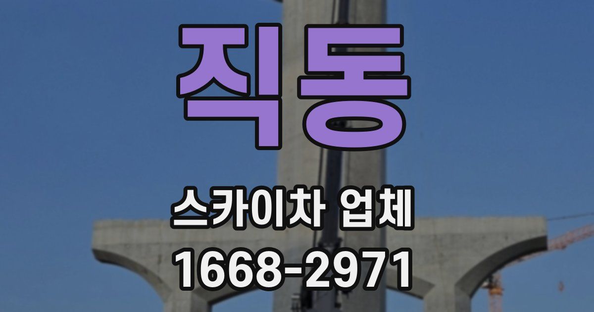 직동 스카이차 업체