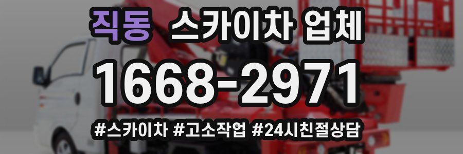 직동 스카이차 업체
