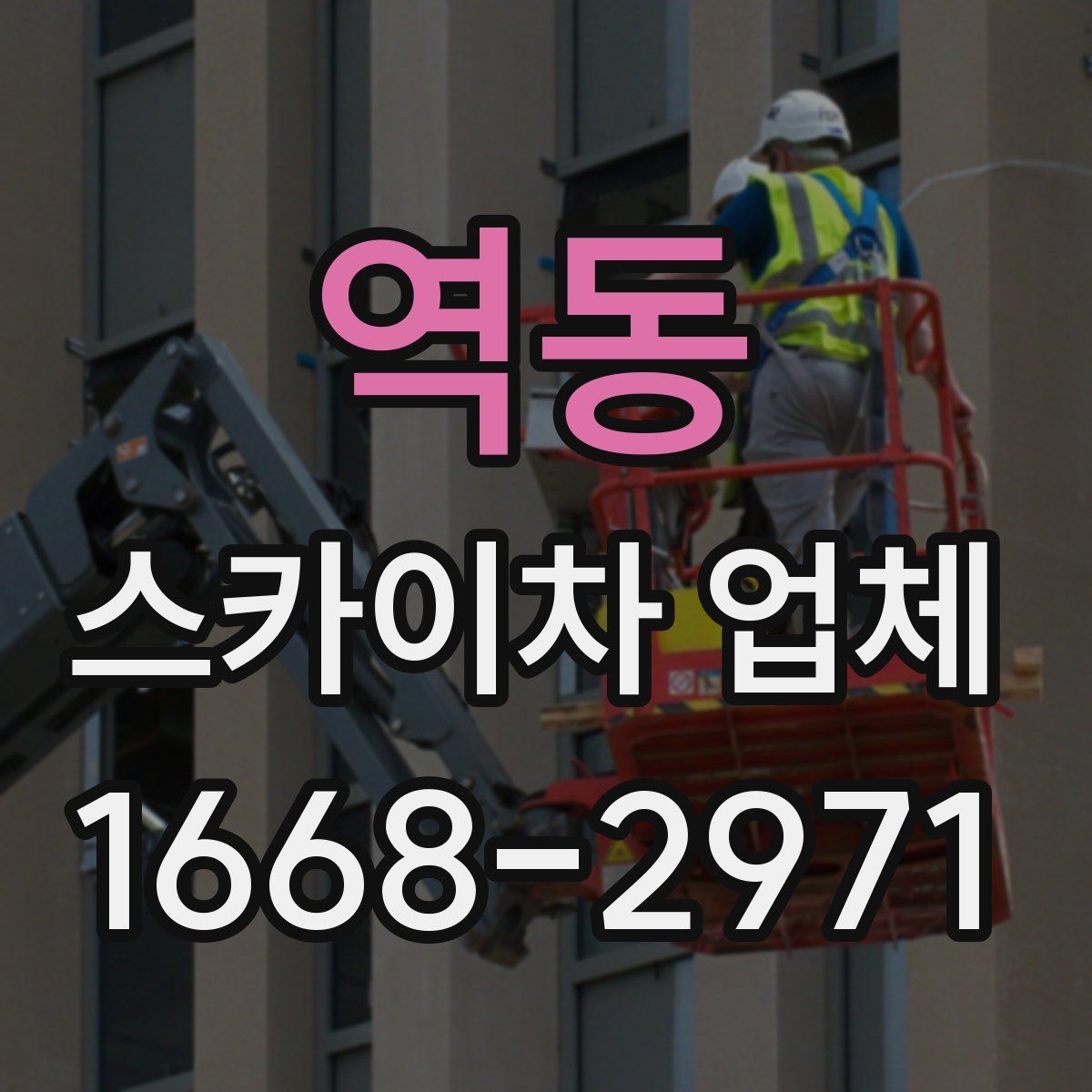 역동 스카이차 업체