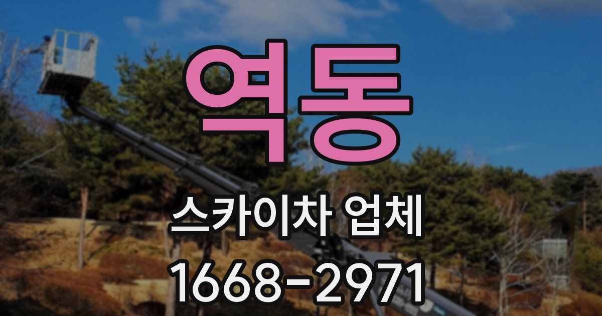 역동 스카이차 업체