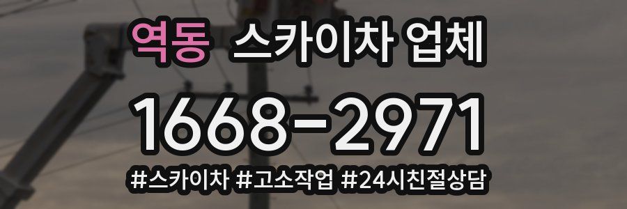 역동 스카이차 업체
