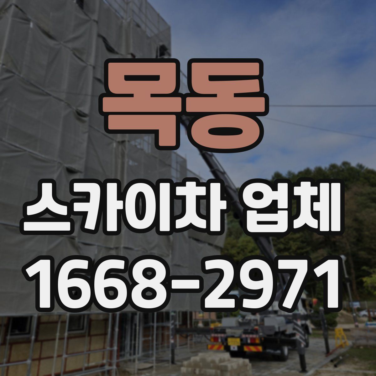 목동 스카이차 업체