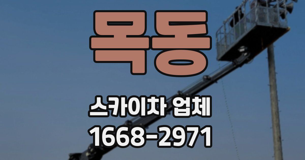 목동 스카이차 업체