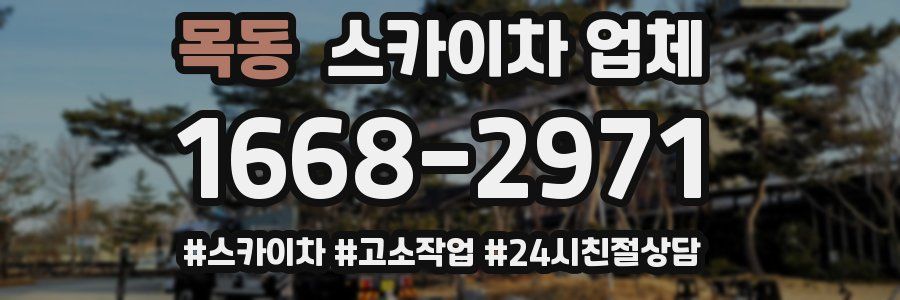목동 스카이차 업체