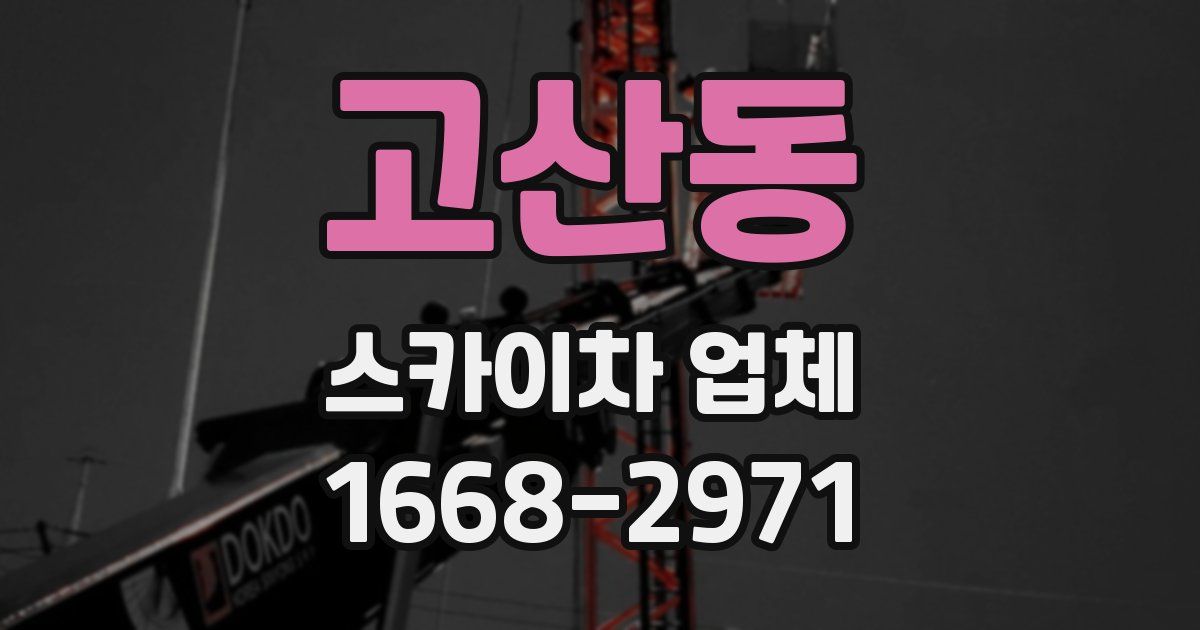 고산동 스카이차 업체