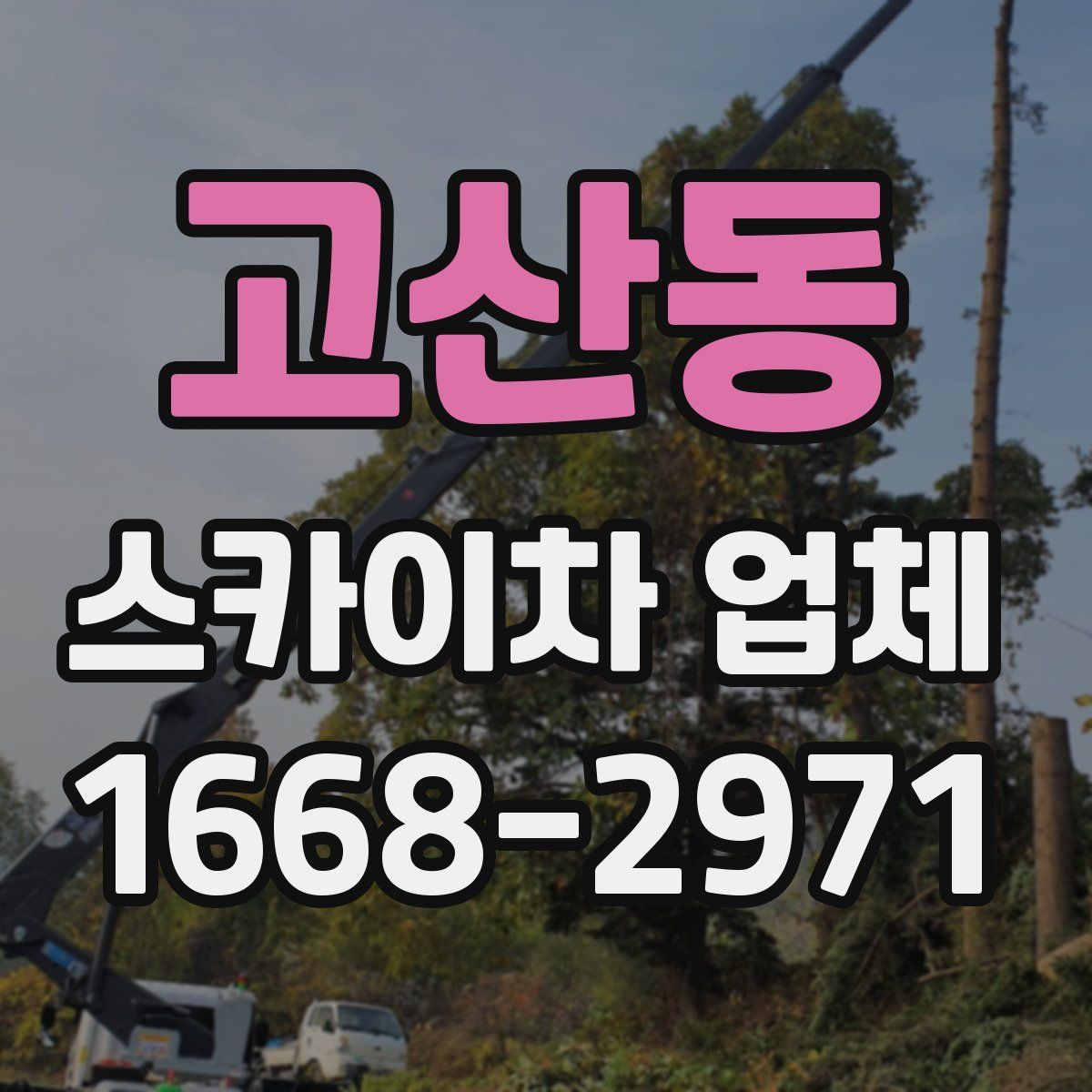 고산동 스카이차 업체