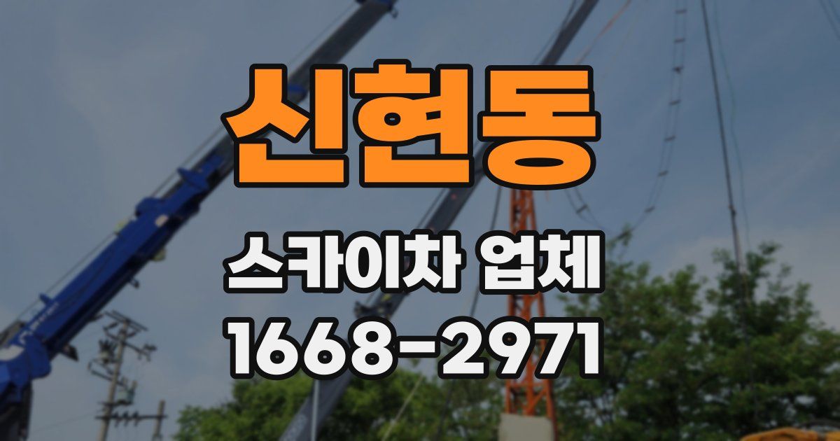 신현동 스카이차 업체