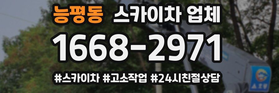 능평동 스카이차 업체