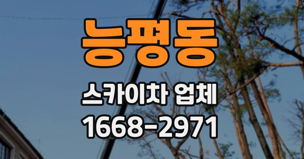 능평동 스카이차 업체