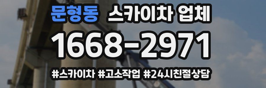문형동 스카이차 업체