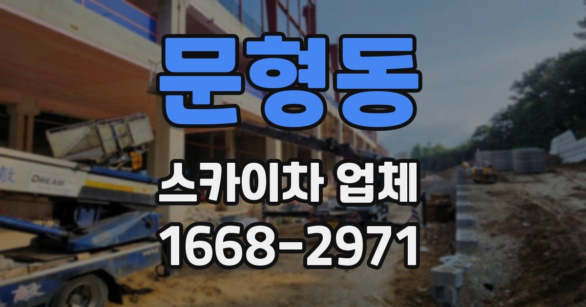 문형동 스카이차 업체