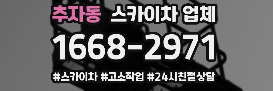 추자동 스카이차 업체